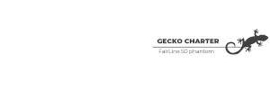 Gecko Charter